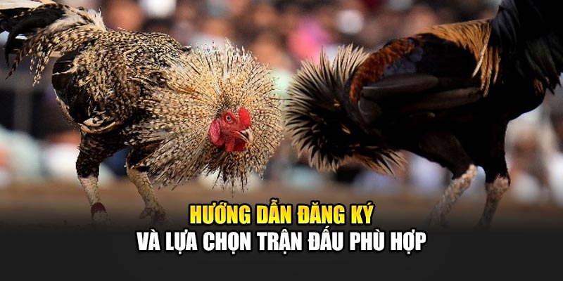 Kinh Nghiệm Chơi Đá Gà Cựa Sắt Tại Nhà Cái 188Bet Uy Tín 2 Hướng dẫn đăng ký và lựa chọn trận đấu phù hợp